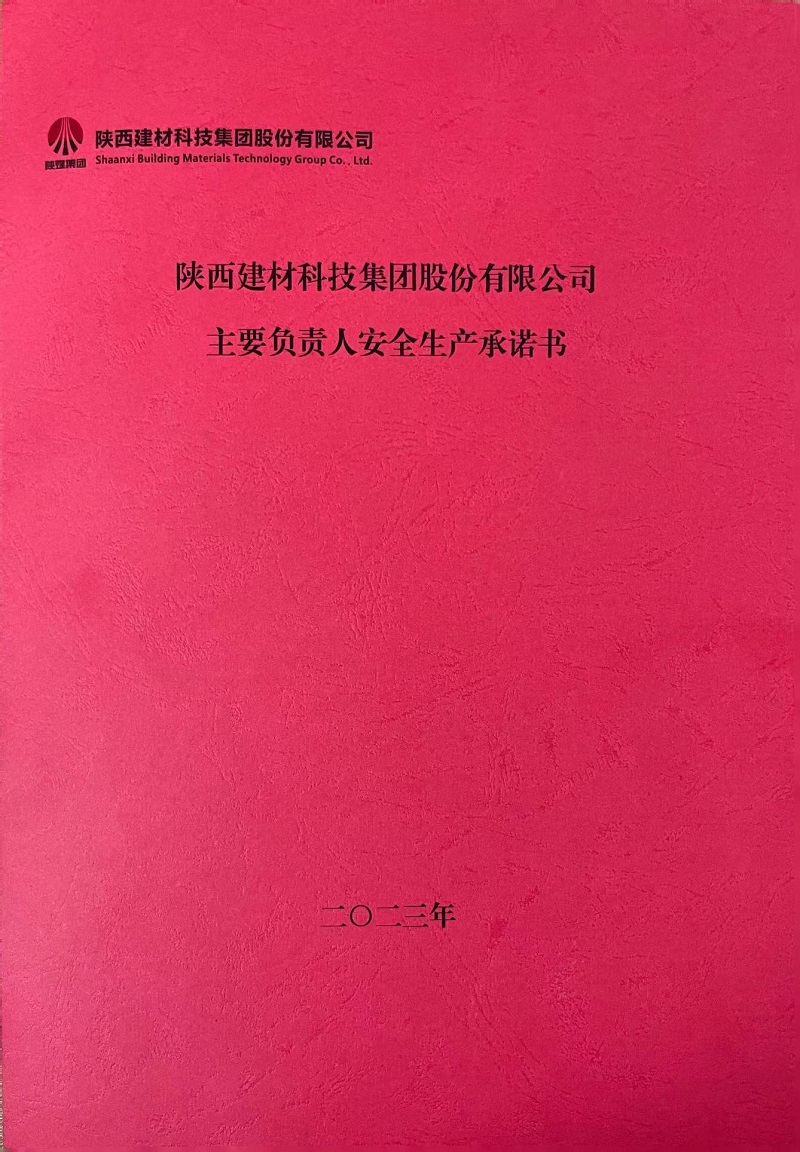 陜西建材科技集團股份有限公司主要負(fù)責(zé)人安全生產(chǎn)承諾書1